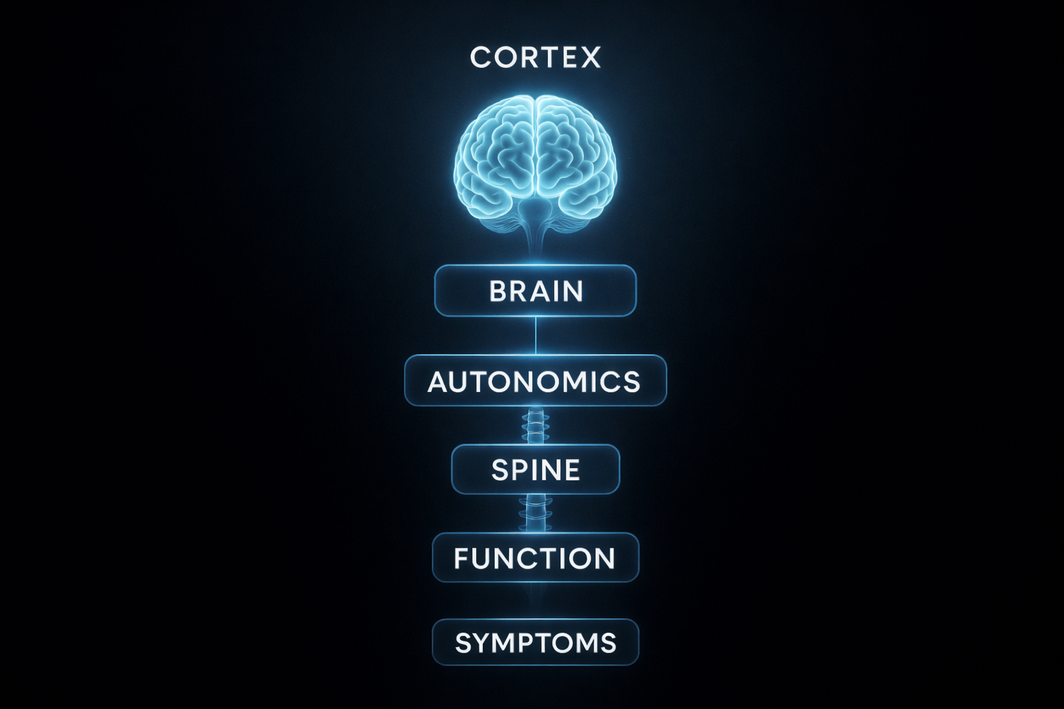The New Hierarchy - Cortex System